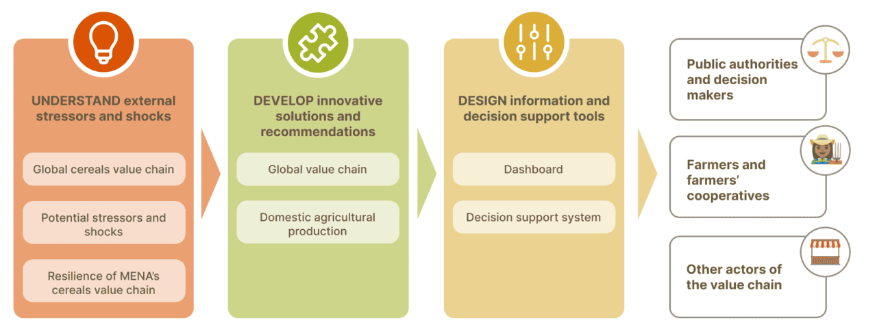 STAPLES-project-method-cereal-value-chain